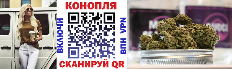 Где можно купить наркотики Куса ГАШИШ Псилоцибиновые грибы Мефедрон Бошки Шишки