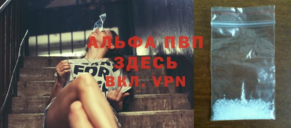 индика Магадан