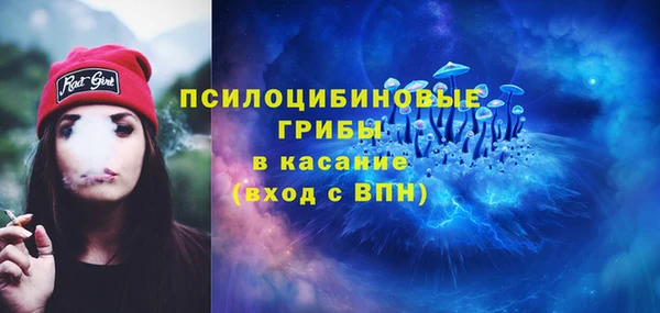 гидра Магас