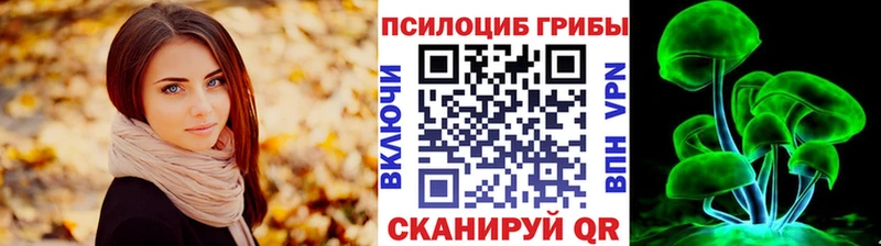 Псилоцибиновые грибы Psilocybe  где продают наркотики  Куса 